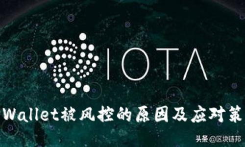 TPWallet被风控的原因及应对策略