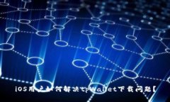iOS用户如何解决tpWallet下载