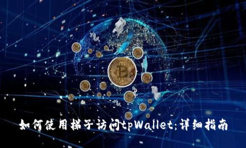 如何使用梯子访问tpWallet：详细指南