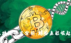 未成功的区块链项目分析