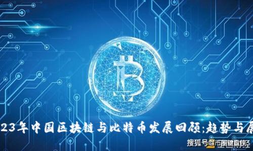 2023年中国区块链与比特币发展回顾：趋势与展望