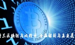 荷兰区块链与比特币：全
