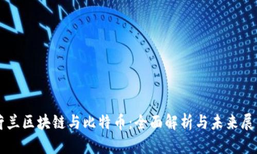 荷兰区块链与比特币：全面解析与未来展望