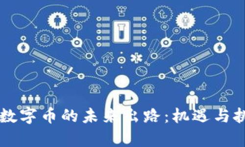 区块链数字币的未来出路：机遇与挑战分析