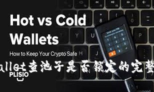 tpWallet查池子是否锁定的完整指南