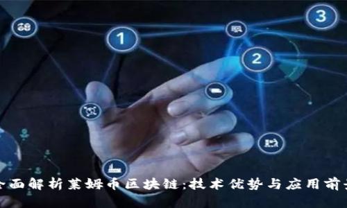 全面解析莱姆币区块链：技术优势与应用前景