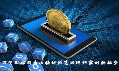 如何使用比特币区块链浏览器进行实时数据查询