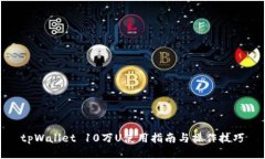 tpWallet 10万U使用指南与操