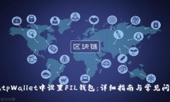如何在tpWallet中设置FIL钱包：详细指南与常见问题