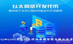 tpWallet钱包闪兑慢的原因分