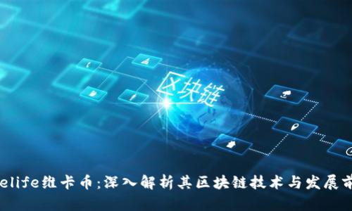 Onelife维卡币：深入解析其区块链技术与发展前景
