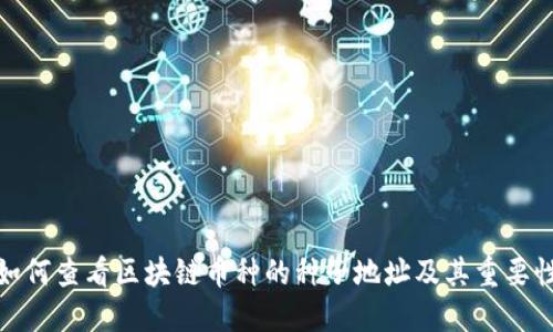 如何查看区块链币种的种子地址及其重要性