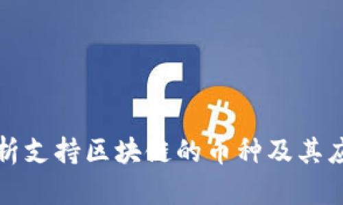 全面解析支持区块链的币种及其应用前景