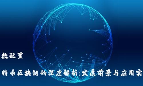 参数配置

奥特币区块链的深度解析：发展前景与应用实例