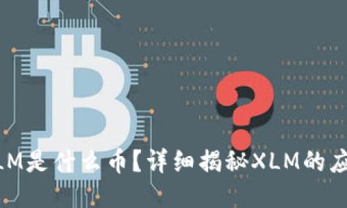 区块链XLM是什么币？详细揭秘XLM的应用与潜力
