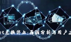 tpWallet兑换停止：原因分析