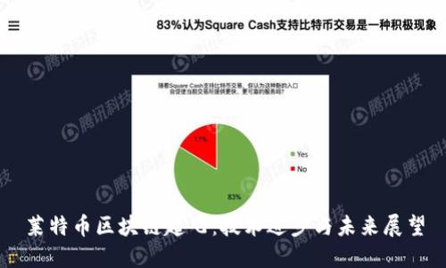 莱特币区块链起飞：技术进步与未来展望