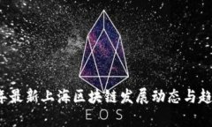 2023年最新上海区块链发展