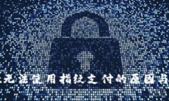 tpWallet无法使用指纹支付的
