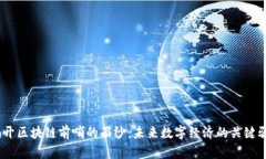 :揭开区块链前哨的面纱：未来数字经济的关键驱