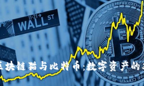 : 揭秘区块链猫与比特币：数字资产的双重魅力