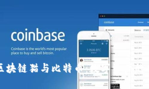 : 揭秘区块链猫与比特币：数字资产的双重魅力