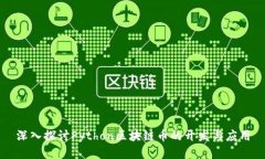 深入探讨Python区块链币的