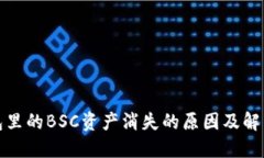 TP钱包里的BSC资产消失的原因及解决方案