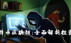 孙洪鹤与比特币区块链：全面解析投资机遇与挑
