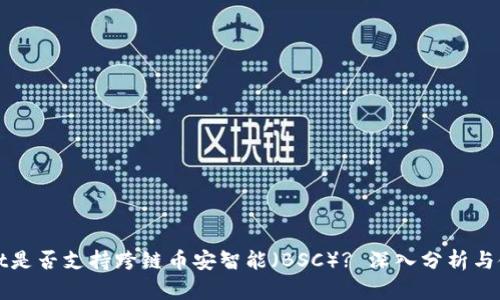 tpWallet是否支持跨链币安智能（BSC）? 深入分析与使用指南