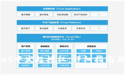 如何在tpWallet中发起授权：详细指南与常见问题解答