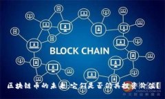 区块链币的未来：它们是否仍具投资价值？