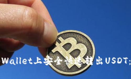 如何在tpWallet上安全快速转出USDT：详细指南
