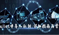 如何在tpWallet中导入私钥：详细指南与常见问题解