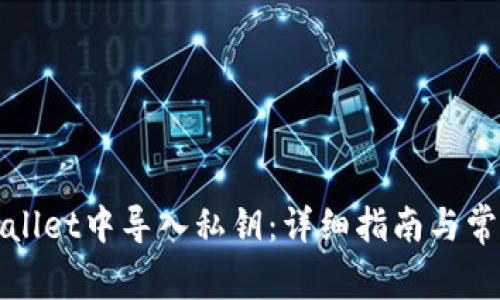如何在tpWallet中导入私钥：详细指南与常见问题解答