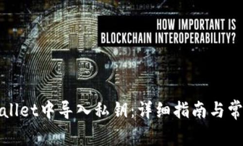 如何在tpWallet中导入私钥：详细指南与常见问题解答