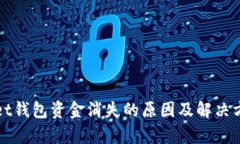 tpWallet钱包资金消失的原因