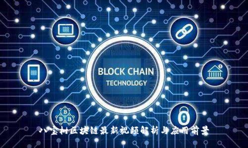 八宝树区块链最新视频解析与应用前景