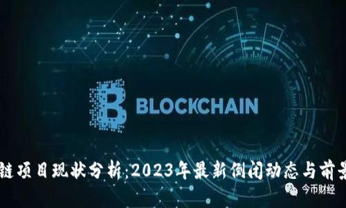 区块链项目现状分析：2023年最新倒闭动态与前景展望