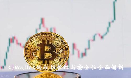 tpWallet的私钥管理与安全性全面解析
