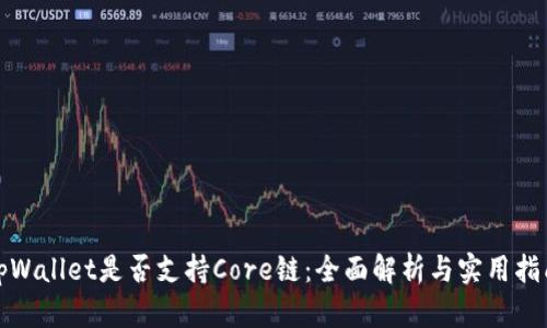 tpWallet是否支持Core链：全面解析与实用指南