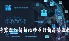 区块链专家深入解析比特