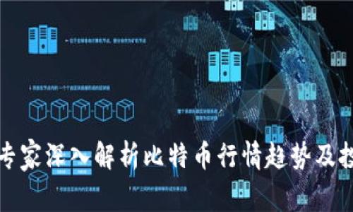 区块链专家深入解析比特币行情趋势及投资策略