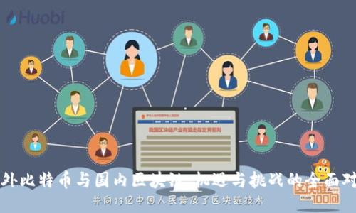 国外比特币与国内区块链：机遇与挑战的全面对比