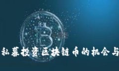 国外私募投资区块链币的机会与挑战