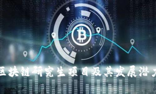 最新区块链研究生项目及其发展潜力分析