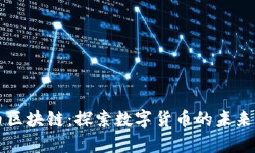维他币区块链：探索数字货币的未来与应用