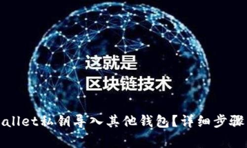 如何将tpWallet私钥导入其他钱包？详细步骤与注意事项