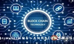 如何将tpWallet私钥导入其他钱包？详细步骤与注意