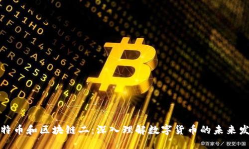 揭秘比特币和区块链二：深入理解数字货币的未来发展路径